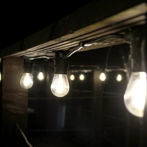 Black Festoon Lights - 5M / 10M / 20M - 500mm Spacing