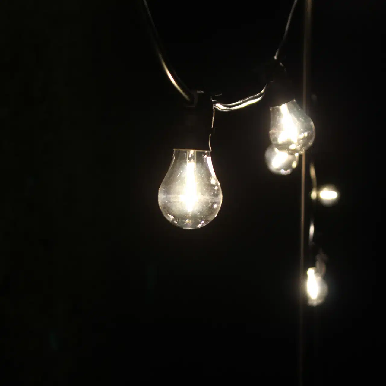 Black Festoon Lights - 5M / 10M / 20M - 500mm Spacing