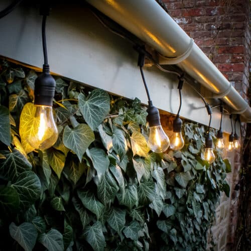 10M Black Festoon Lights