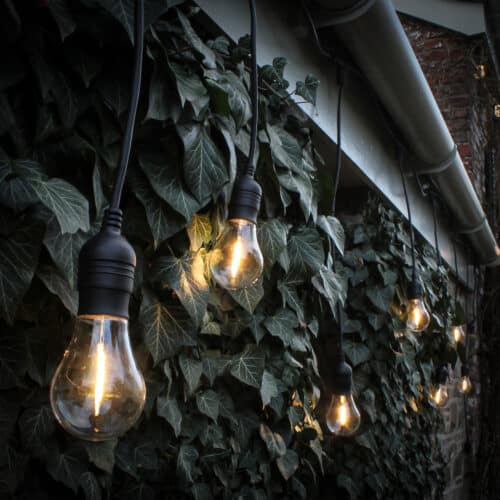 5M Black Festoon Lights