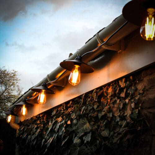 15M Black Festoon Lights