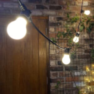 Festoon Lights