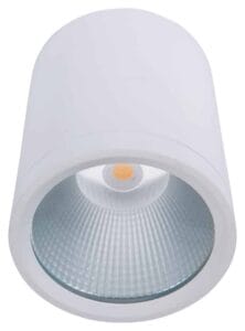 Surface Mounted Downlights
