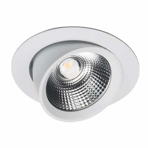 Shoplight Pro Recessed Adjustable Downlight