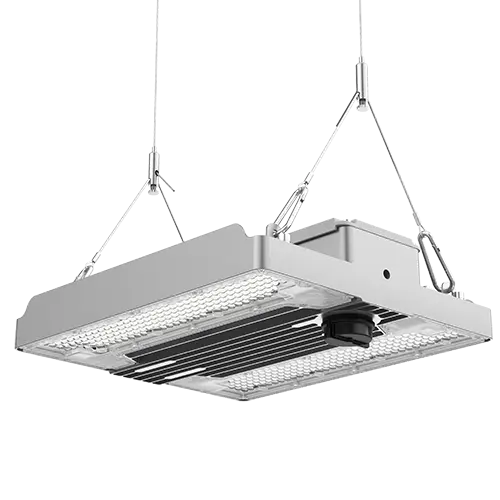 Derwent LED High Bay